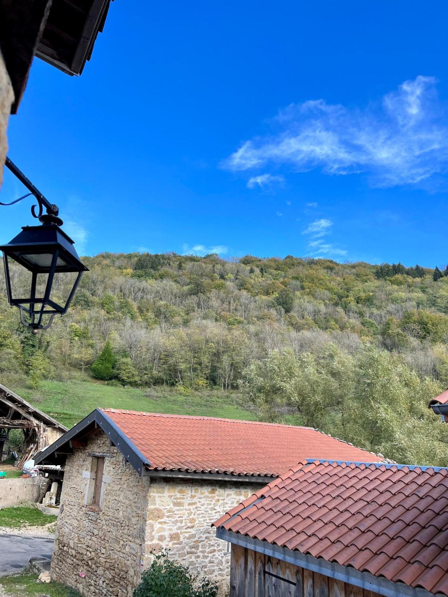 Gite Brin De Nature Au Coeur De La Nature Bugiste Ambérieu-en-Bugey Eksteriør bilde